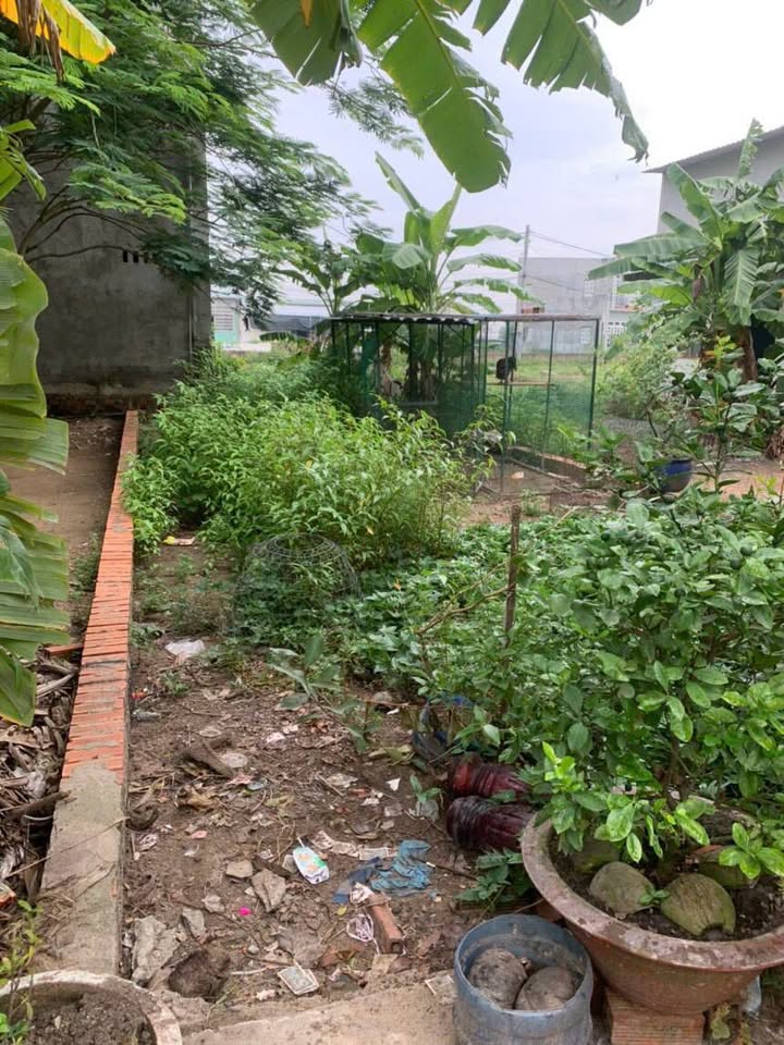 Đất nền Mỹ Hạnh Bắc 84m² giá 1.2 tỷ - Sổ đỏ chính chủ, đầu tư sinh lời!