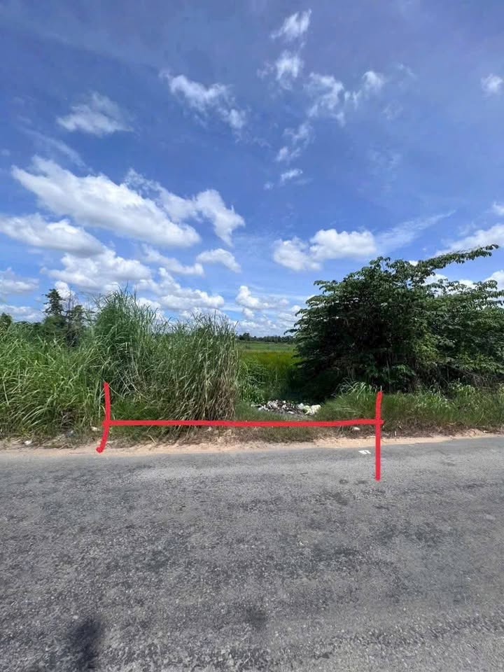 Đất thổ cư 270m² KV4, Đức Hòa Tây, chỉ 1.75 tỷ - Sổ hồng riêng, bớt lộc cho khách thiện chí!