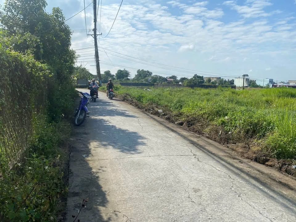 Đất nền Bình Tiền 1, Đức Hòa 155m² giá 1.52 tỷ - Cơ hội đầu tư sinh lời!