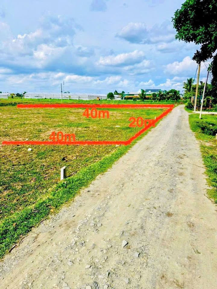 Đất nền 800m² tại Tràm Lạc, Đức Hòa chỉ 2.9 tỷ - Cơ hội đầu tư hiếm có!