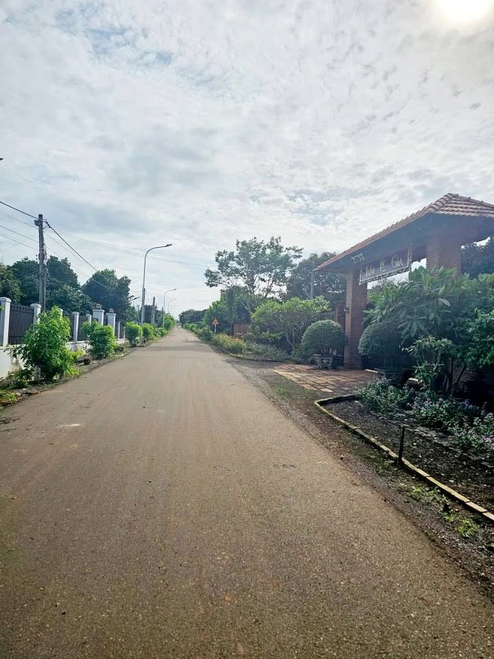 Đất nền 5000m² Bình Ba - Châu Đức Bà Rịa Vũng Tàu - Giá chỉ 760 triệu