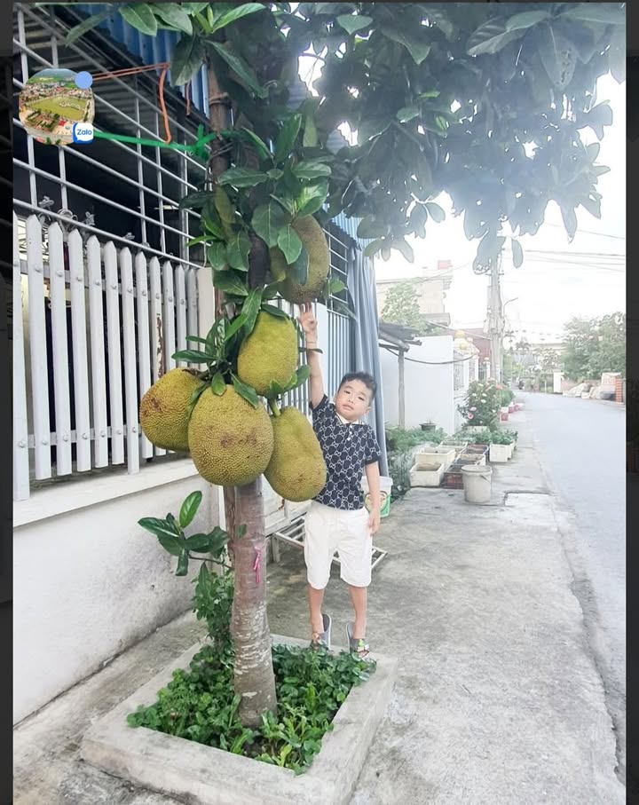 Đất mặt tiền đường Đào Yêu, An Hải, Hải Phòng 60m² - Chính chủ bán gấp!