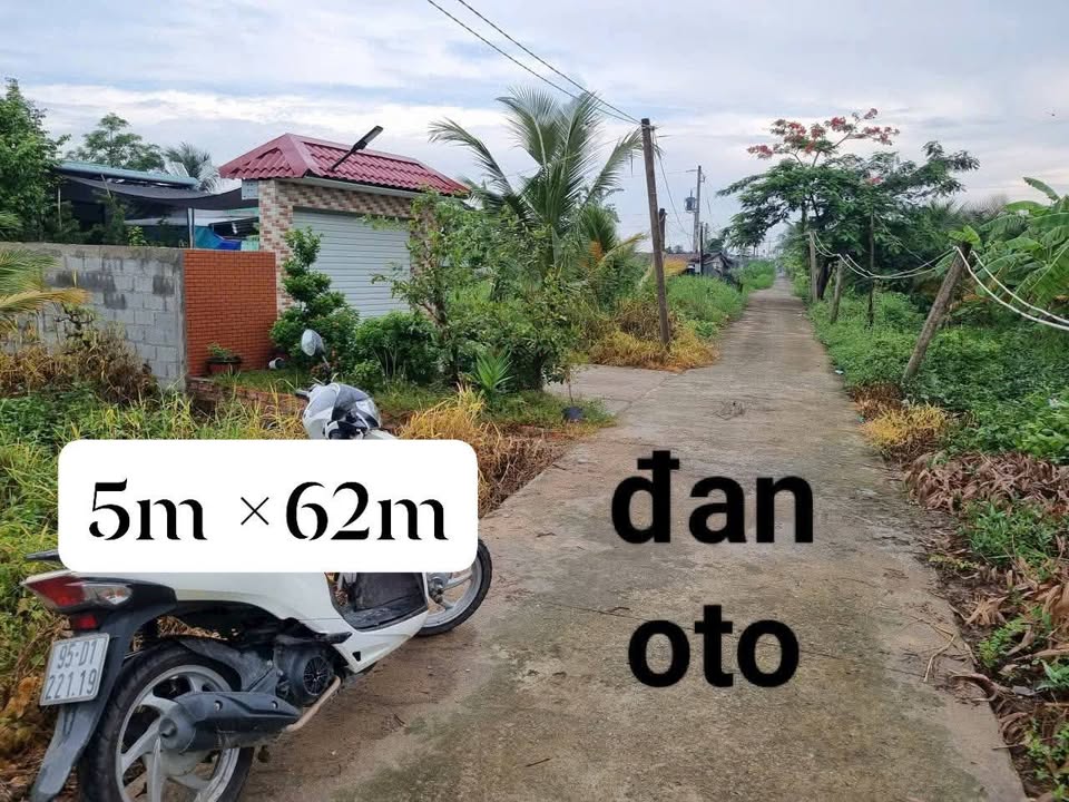 Đất vườn Trung Hoà Chợ Gạo 310m² giá 450 triệu - Đầu tư sinh lời hấp dẫn!