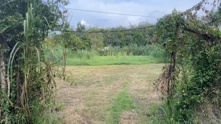 Đất nền An Nhơn Tây, Củ Chi 1200m² giá 6 tỷ - Đầu tư sinh lời lý tưởng!