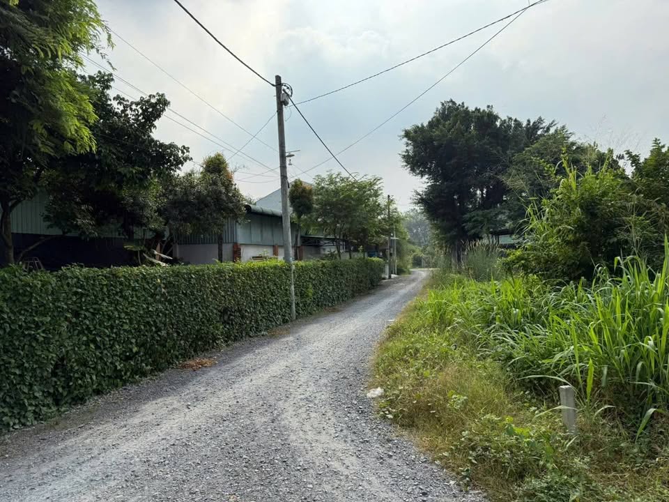 Đất nền Phú Hòa Đông, Củ Chi - 100m², giá 1.5 tỷ - Đầu tư sinh lời ngay!