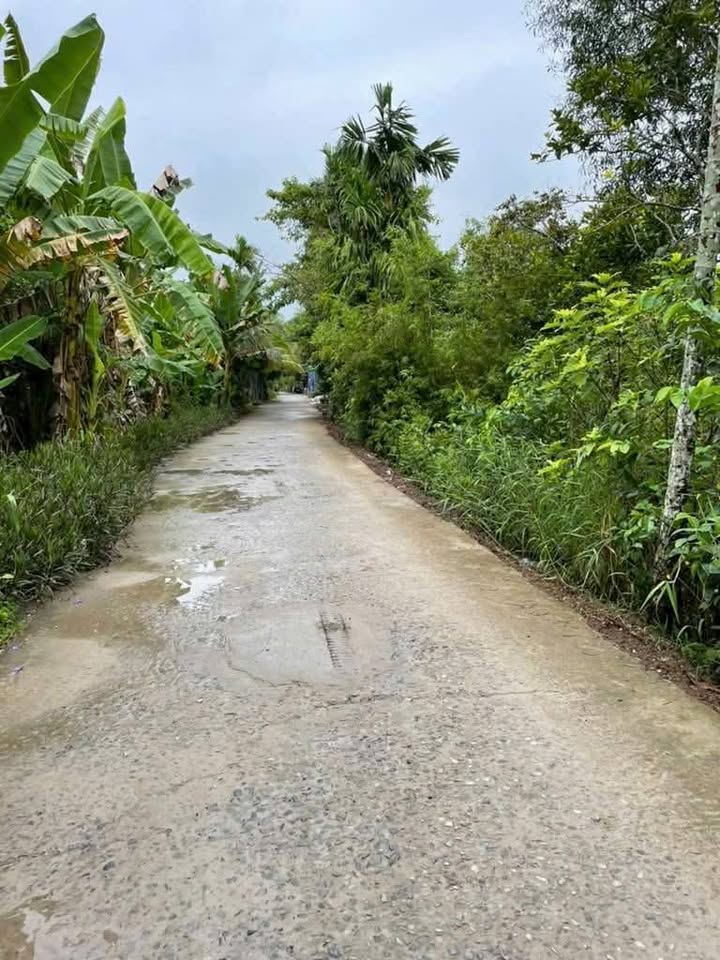 Đất thổ cư Phong Điền 2515m² giá 6.287 tỷ - Cơ hội đầu tư tuyệt vời!