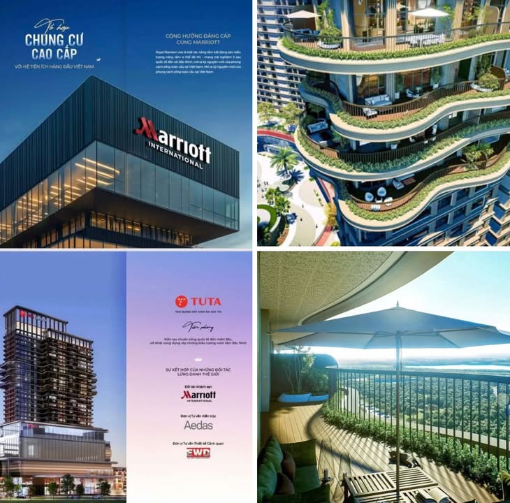 Căn hộ Royal Mansion Bắc Giang 50m² giá 3 tỷ - Cơ hội đầu tư hấp dẫn!