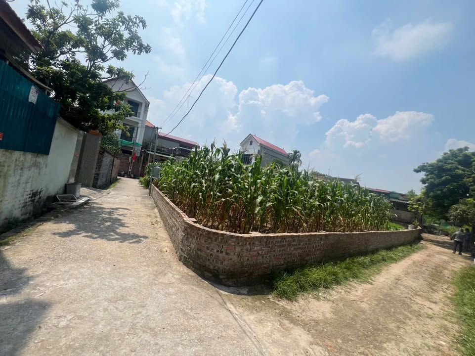 Đất nền Ngũ Thái 141m² giá chỉ 1.6 tỷ - Cơ hội đầu tư tuyệt vời!