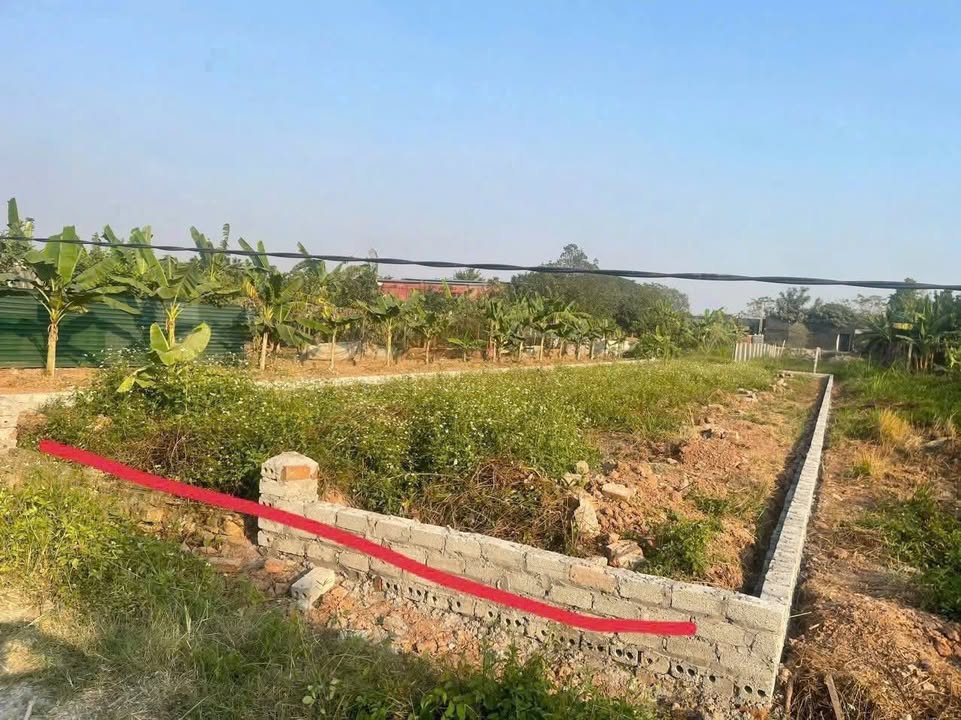 Đất vườn chính chủ tại Sài Sơn, Quốc Oai, Hà Nội 408m² - Giá chỉ 1.346 tỷ VND!