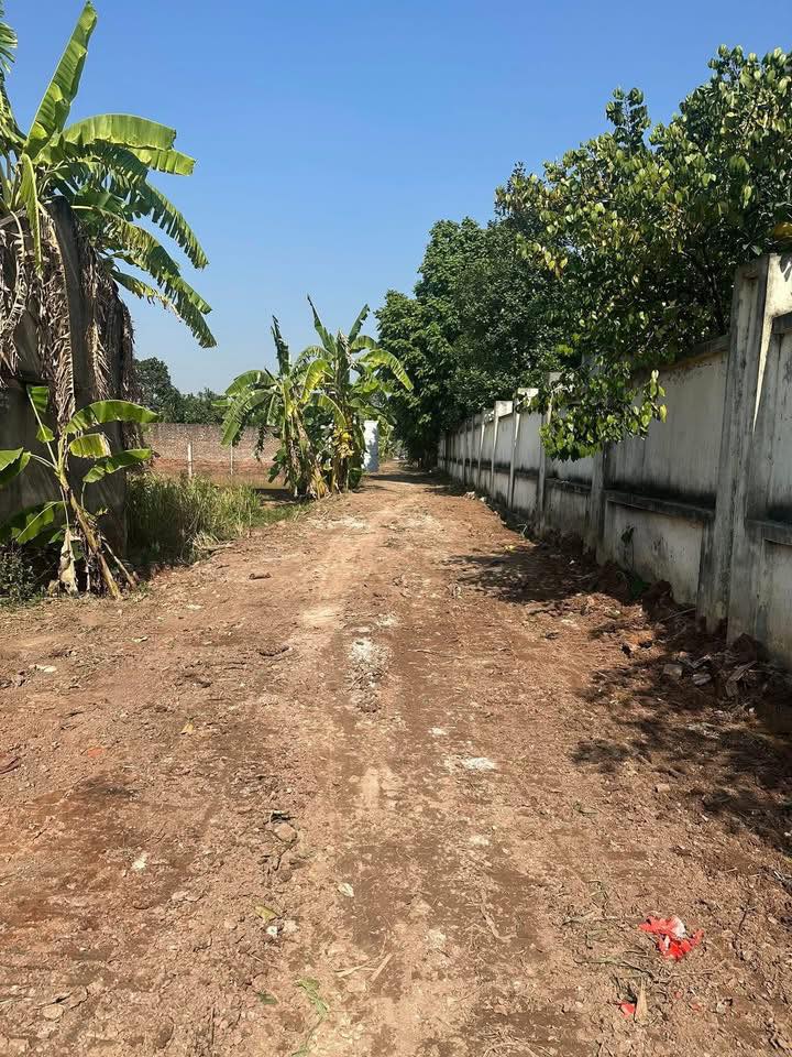 Đất nền Sài Sơn 156m² giá thỏa thuận - Sổ hồng chính chủ, đầu tư sinh lời!