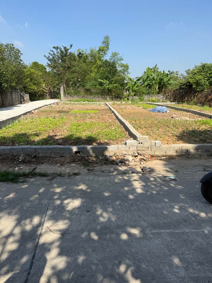 Đất nền Đông Đoài, Phú Xuyên 52m² giá chỉ 1 tỷ - Cơ hội đầu tư hấp dẫn!