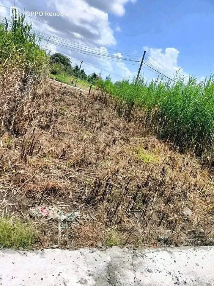 Lô đất Nhị Thành Thủ Thừa 112.6m² giá 750 triệu - Đầu tư sinh lời ngay!