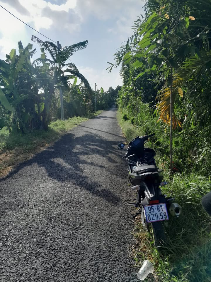 Đất nền Phú Hữu, Châu Thành Hậu Giang 700m² giá 1.3 tỷ - Sổ hồng chính chủ!