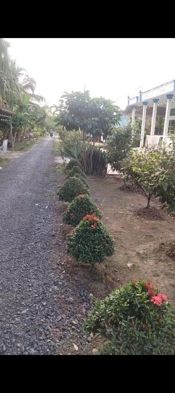 Đất thổ cư ấp Thắng Mỹ, xã Phụng Hiệp 225m² giá 380 triệu - Cơ hội đầu tư tuyệt vời!