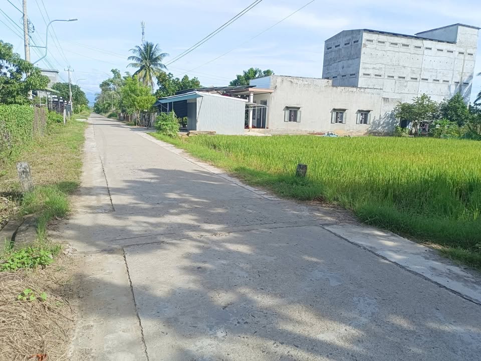 Đất nền mặt tiền Lạc Bình Ninh Thọ 923m² giá chỉ 1.6 tỷ - Cơ hội vàng cho nhà đầu tư!