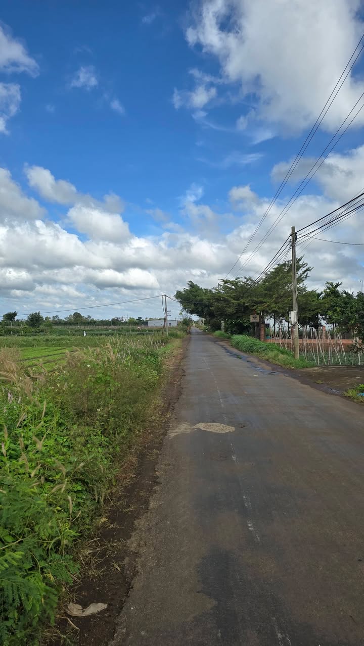 Đất nền Hòa Khánh Buôn Ma Thuột 109m² giá 750 triệu - Đầu tư sinh lời ngay!