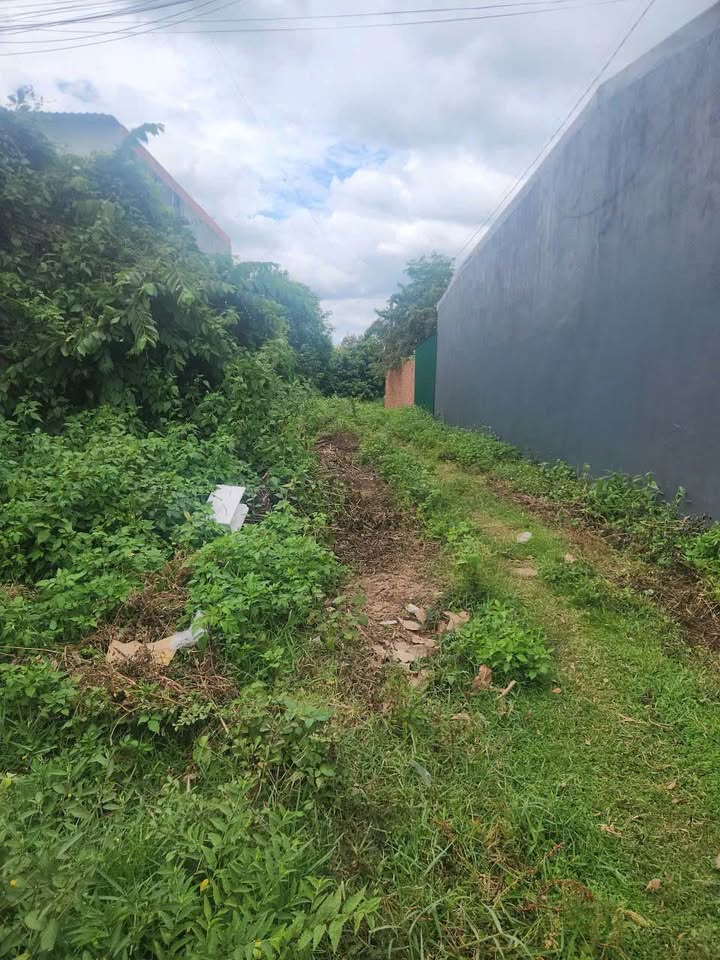 Đất mặt tiền đường Y Wang, phường Ea Kao, TP. Buôn Ma Thuột, 150m² giá 4.1 tỷ - Đầu tư sinh lời!