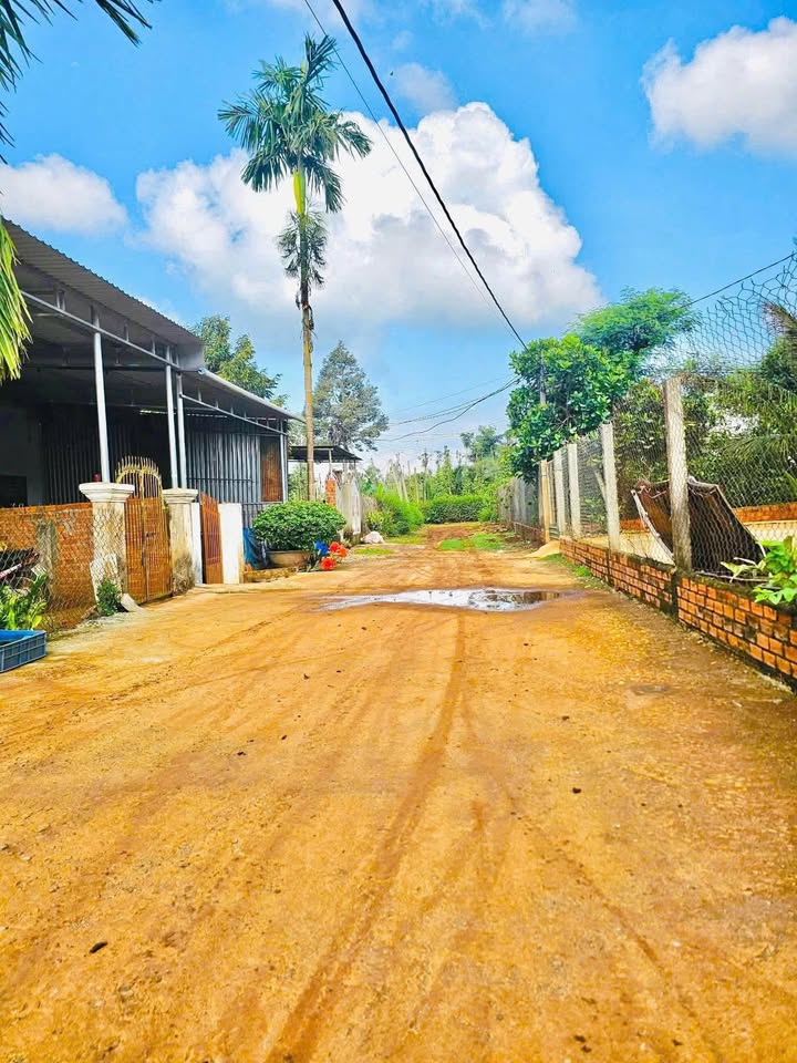 Bán lô đất thổ cư 80m² tại Tân Lợi - Giá chỉ 750 triệu - Sổ đỏ chính chủ!