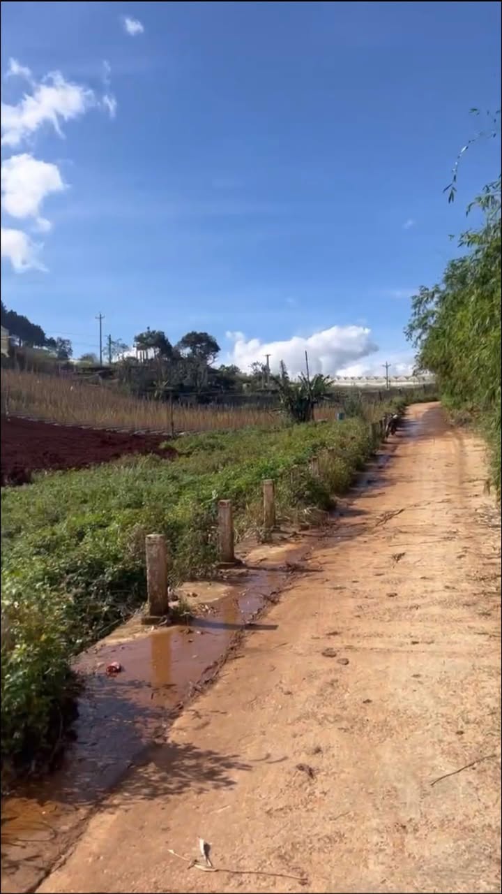 Đất nền xã Quảng Lập 200m² giá chỉ 300 triệu - Cơ hội đầu tư tuyệt vời!