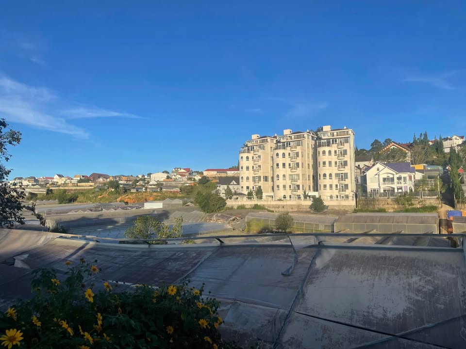 Bán lô đất mặt tiền Vạn Kiếp, Đà Lạt 973m² giá 29.9 tỷ - Cơ hội đầu tư hấp dẫn!