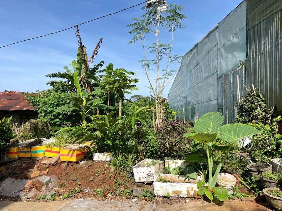 Đất nền Diên Hồng Pleiku 162m² giá 1.3 tỷ - Đầu tư sinh lời ngay!