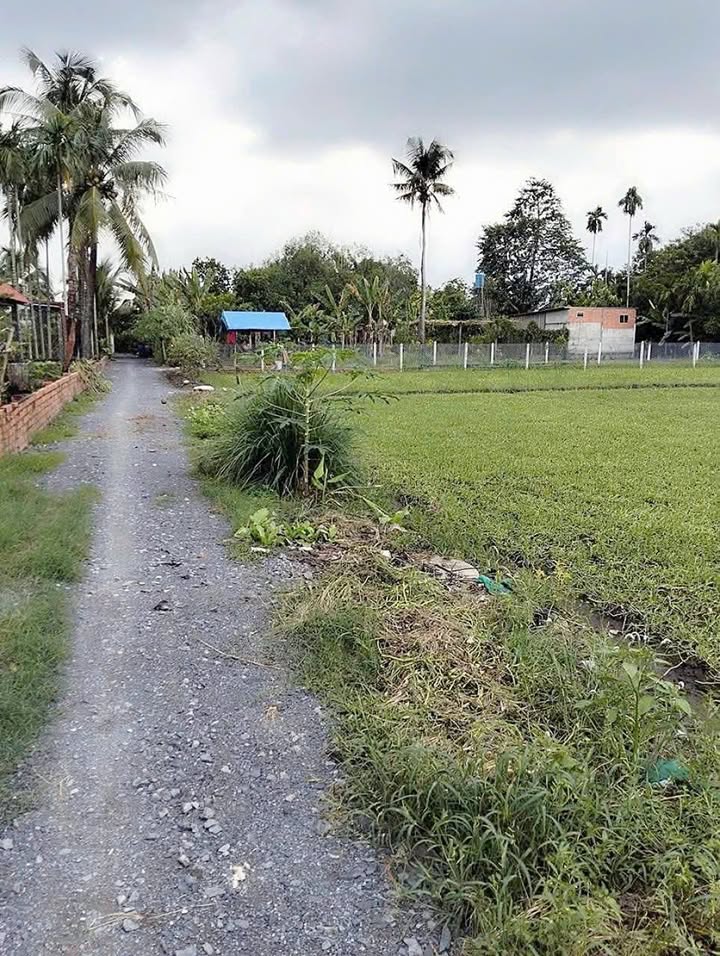 Đất vườn Bình Mỹ, Củ Chi 400m² giá 2.2 tỷ - Sổ riêng chính chủ!