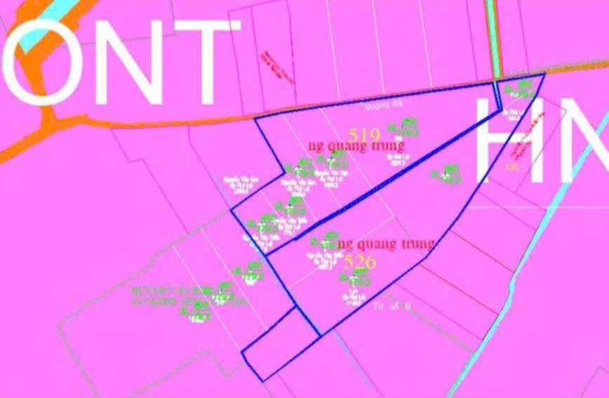 Đất trồng cây lâu năm 2ha Tân Phú Trung, Củ Chi - Giá tốt cho nhà đầu tư!