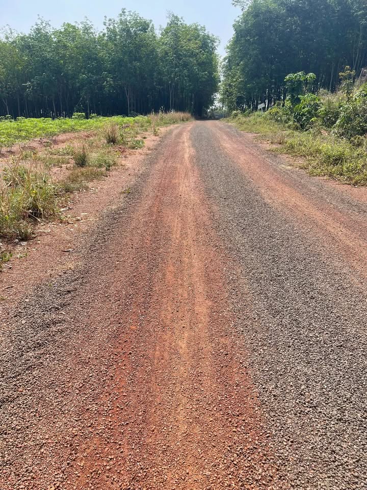 Đất nền ấp 3, xã Tiến Hưng, 200m² - Giá cả thỏa thuận, vị trí thuận lợi!