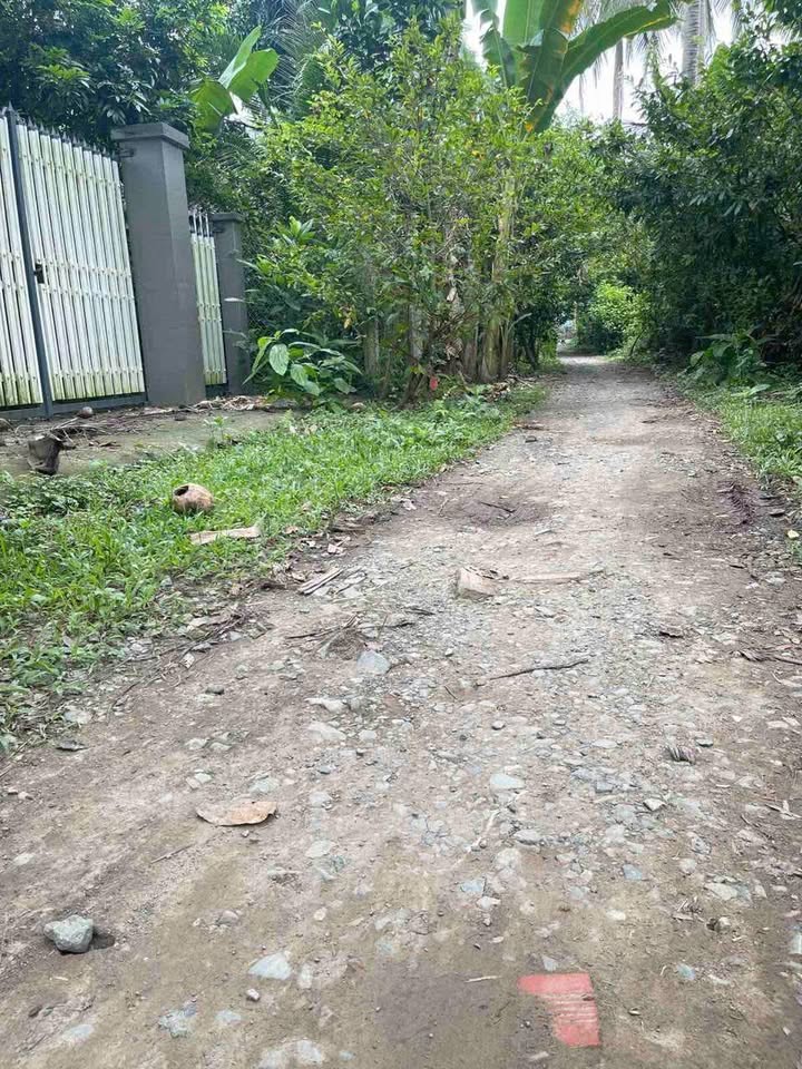 Lô đất Farm 80,000m² tại Mỏ Cày Nam giá 2.96 tỷ - Tiềm năng nghỉ dưỡng tuyệt vời!