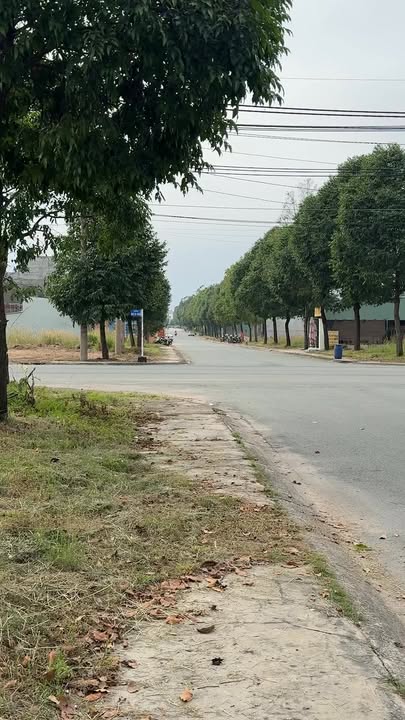 Đất thổ cư 150m² tại Bàu Bàng, giá 1.899 tỷ - Xây dựng tự do!