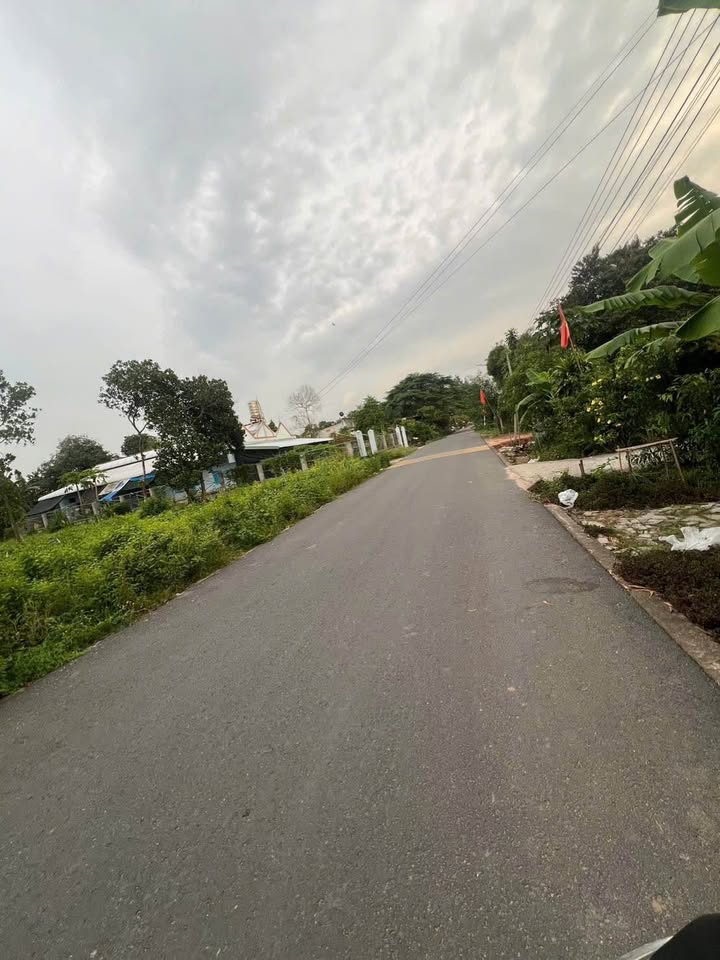 Đất thổ cư 100% mặt tiền nhựa Phú An 922m² giá 3.3 tỷ - Tiềm năng đầu tư lớn!