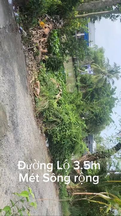 Đất nền 396m² tại ấp Thới Hiệp, Cần Thơ - Giá chỉ 700 triệu!