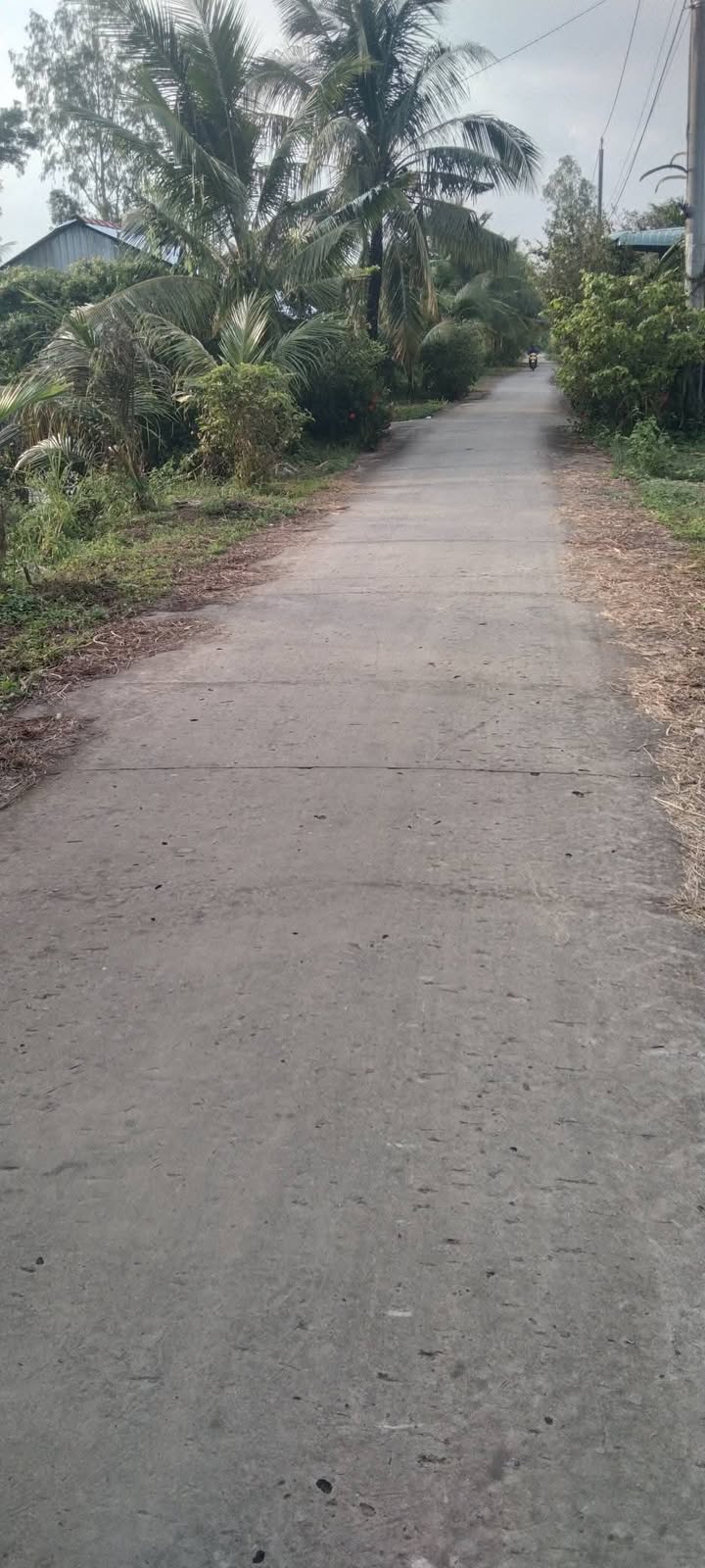 Đất nền 2373m² tại Ấp Thới Hòa, Cờ Đỏ, Cần Thơ giá 1.1 tỷ - Sổ hồng riêng, xây dựng ngay!