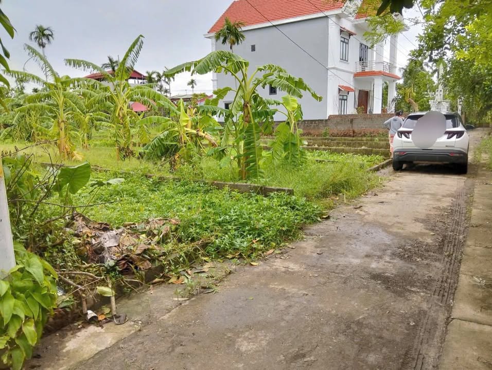 Đất nền Tri Thủy, Phú Xuyên 91,2m² giá 1,5 tỷ - Tiềm năng sinh lời cao!