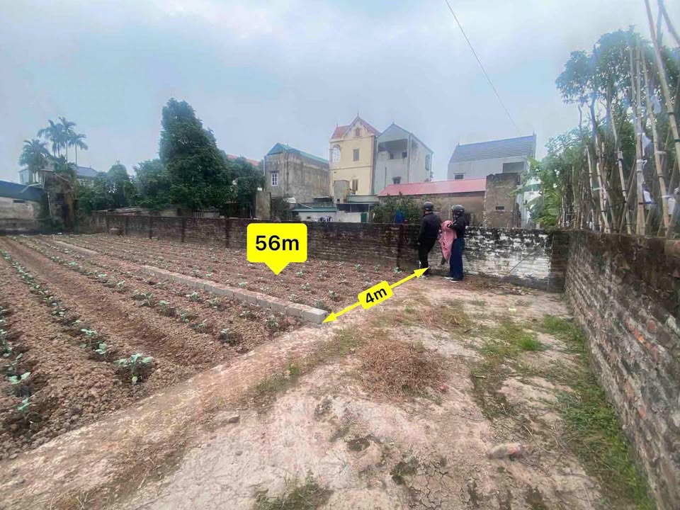 Đất chính chủ Chương Dương, Thường Tín 56m² giá 2.95 tỷ - Cách chợ 500m!