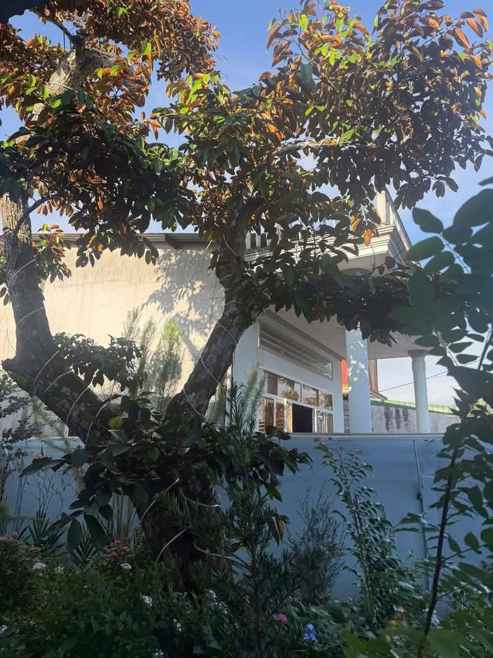 Nhà mặt tiền đường 8A, phường Hòa Thuận, Buôn Ma Thuột 350m² giá 3.99 tỷ - Vị trí kinh doanh lý tưởng!