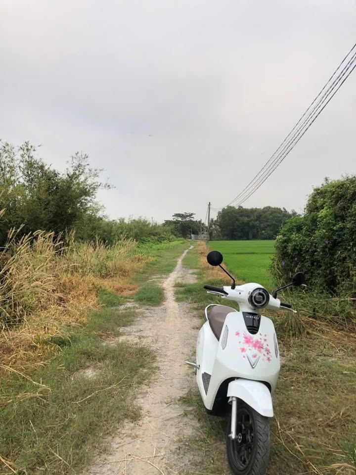 Đất vườn Phước Thạnh, Củ Chi 5300m² giá 4.95 tỷ - Tiềm năng đầu tư sinh lời!