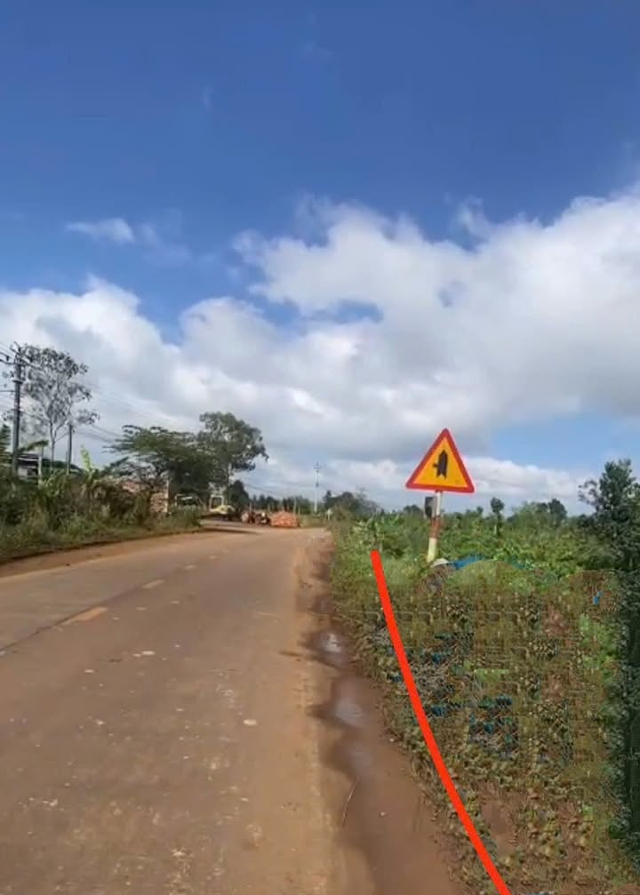 Đất thổ cư mặt tiền QL29 xã Ea Drong 1530m² giá 4.5 tỷ - Sổ đỏ chính chủ!