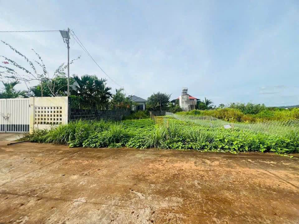 Đất nền thổ cư Tân Hưng, Ea Kao 160m² giá 990 triệu - Sổ đỏ chính chủ!