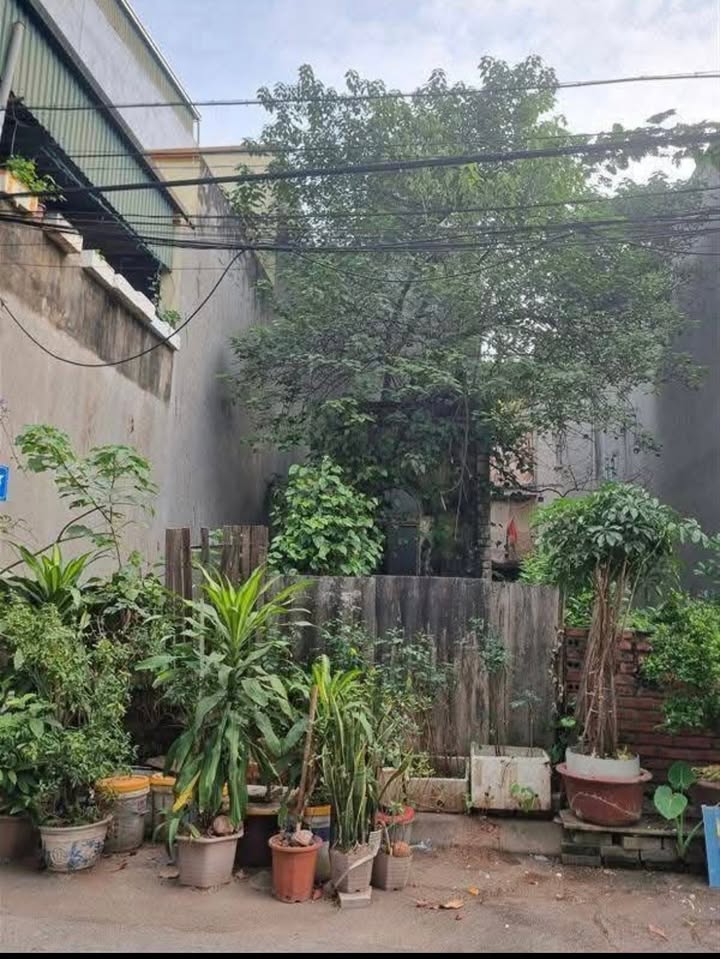 Đất thổ cư Thượng Thanh, Long Biên 66m² giá 9 tỷ - Vị trí vàng gần Hồ Điều Hoà!