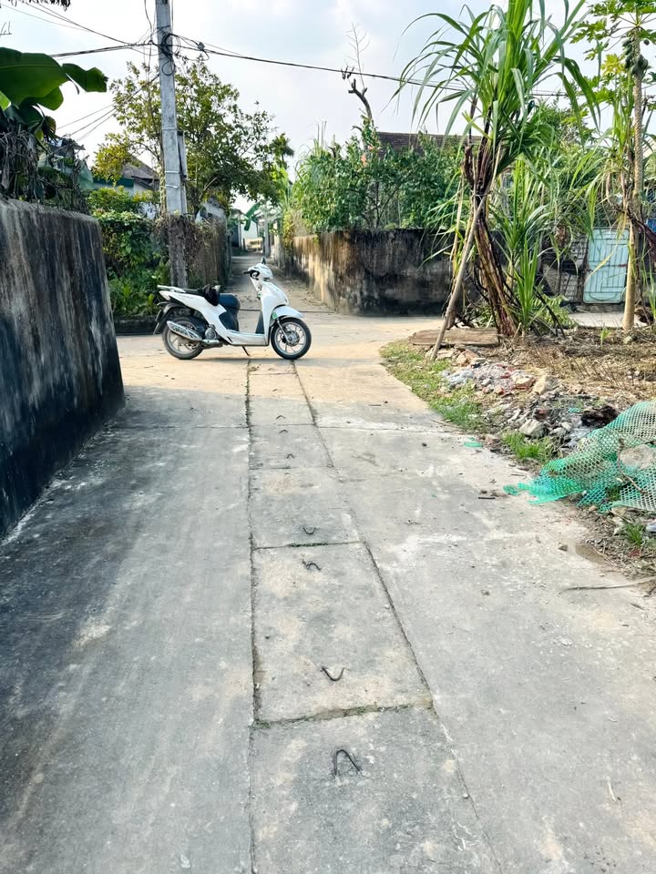 Đất Tràng Sơn Đô Lương 120m² giá chỉ 700 triệu - Cơ hội đầu tư hấp dẫn!