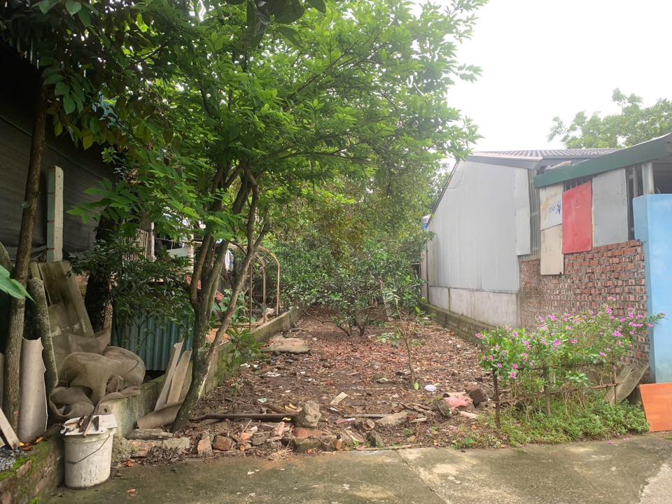 Đất thổ cư Tùng Thiện Sơn Tây 84m² giá 1.3 tỷ - Vị trí đắc địa gần trung tâm!