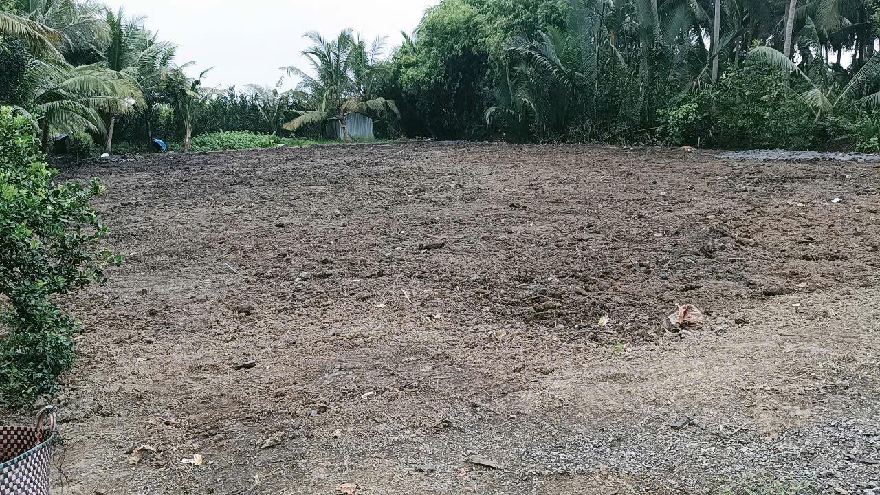 Đất nền Hiếu Nhơn Vĩnh Long 60m² giá chỉ 299 triệu - Sẵn sàng đầu tư!