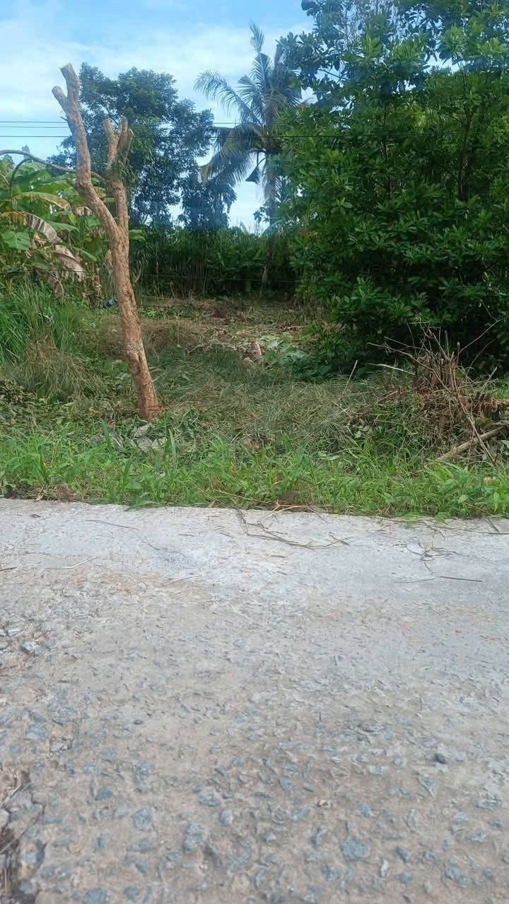 Đất nền phường Đông Thành, Vĩnh Long 204m² giá 280 triệu - Sẵn sàng ra đi!