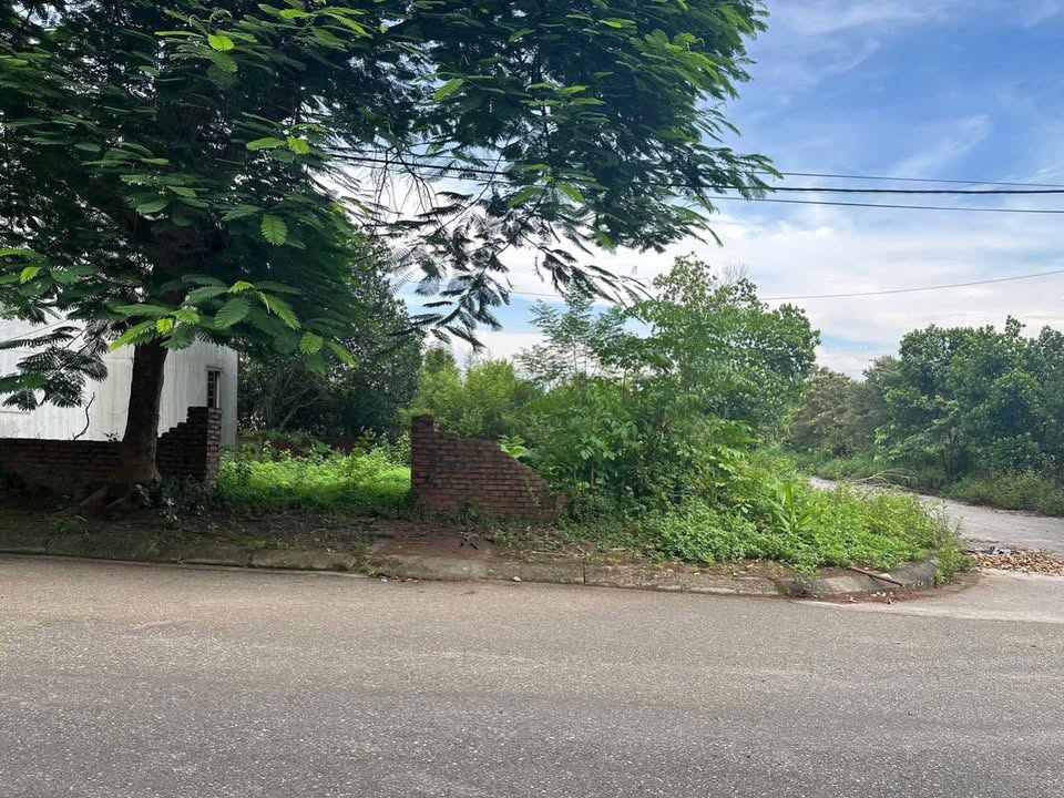 Đất thổ cư Quốc Oai 252.6m² - Cơ hội đầu tư sinh lời cao!