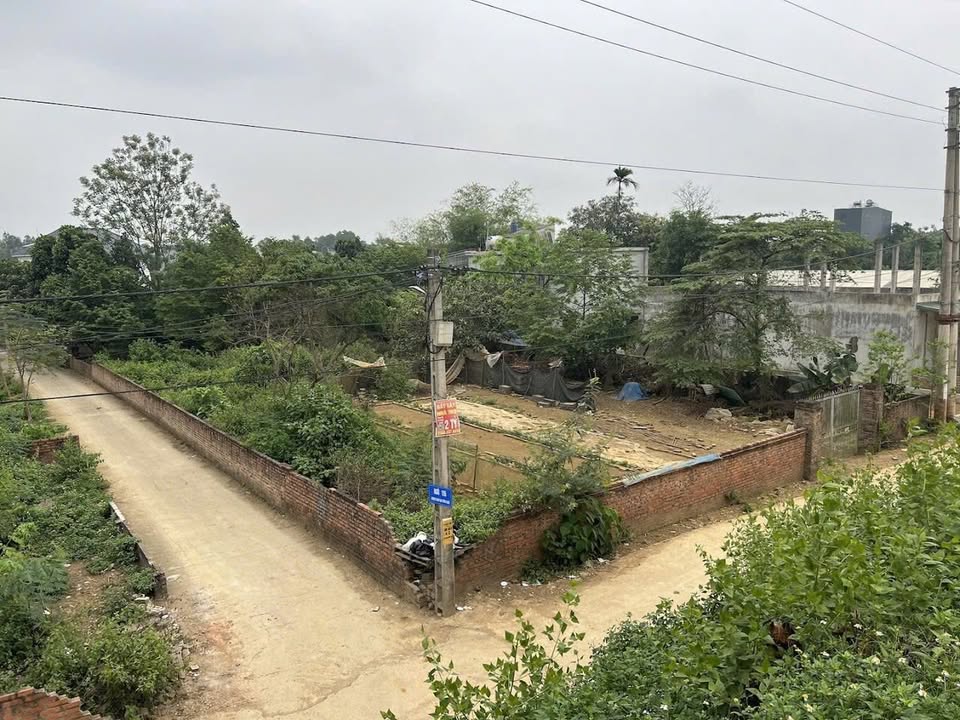 Đất nền Tân Xã Thạch Thất 1000m² - Cơ hội đầu tư hiếm có!