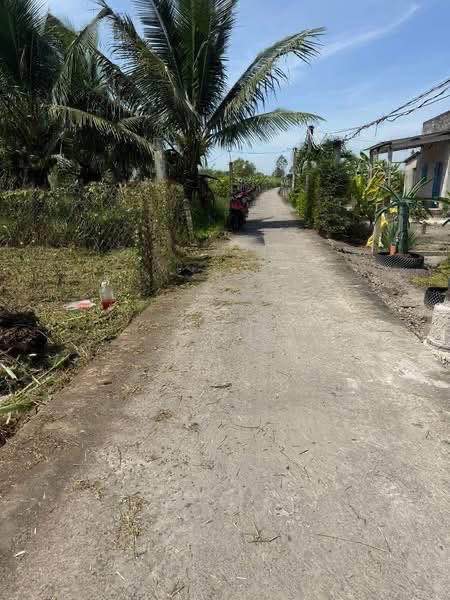 Đất nền Tầm Vu Châu Thành 120m² giá 420 triệu - Sổ hồng riêng, đường ô tô vào tận nơi!