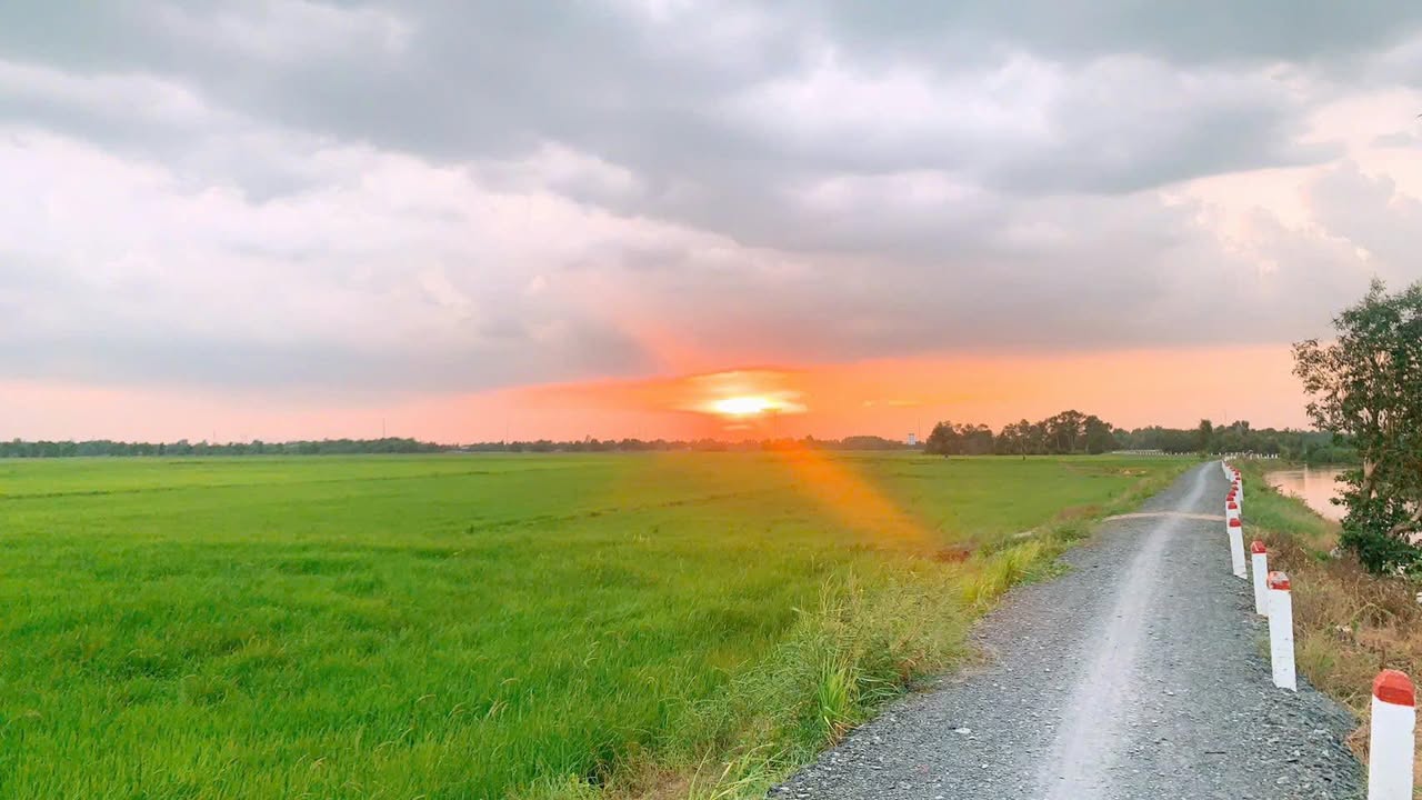 Đất trồng cây Xuân Thới Sơn 7900m² giá 29 tỷ - Tiềm năng nghỉ dưỡng tuyệt vời!