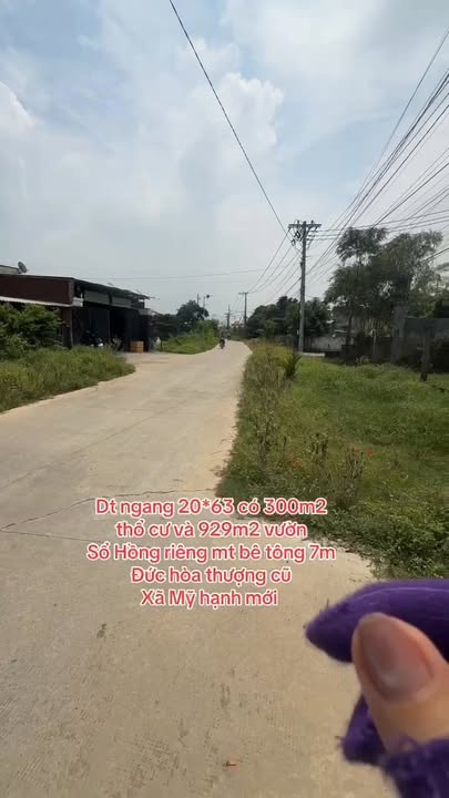 Đất nền 1229m² tại xã Mỹ Hạnh, Đức Hòa - Giá 4.95 tỷ thương lượng!