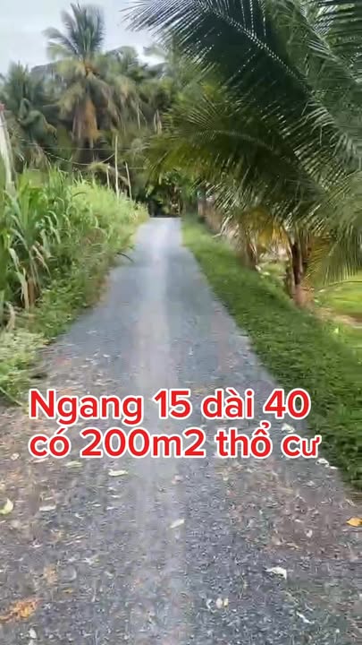 Đất Tân Phú Đông - Tiền Giang 608m² giá 400 triệu - Sổ hồng riêng, pháp lý rõ ràng!